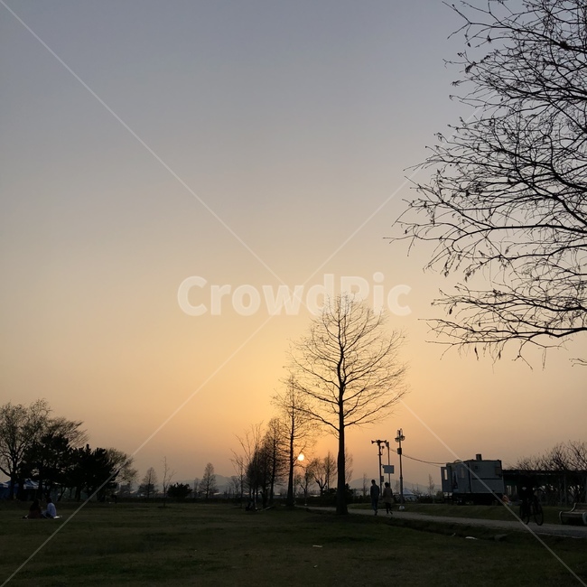 나무,풍경,노을,공원,자연,sunset,park