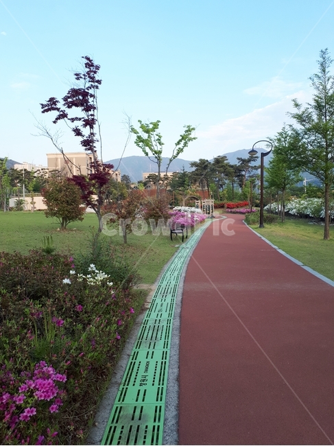 공원,나무,봄,꽃,park,오후,나뭇잎,하늘,우레탄,벤치,잔디,가로등,tree,spring,flower,afternoon,leaf,sky,urethane,bench,grass,streetlamp