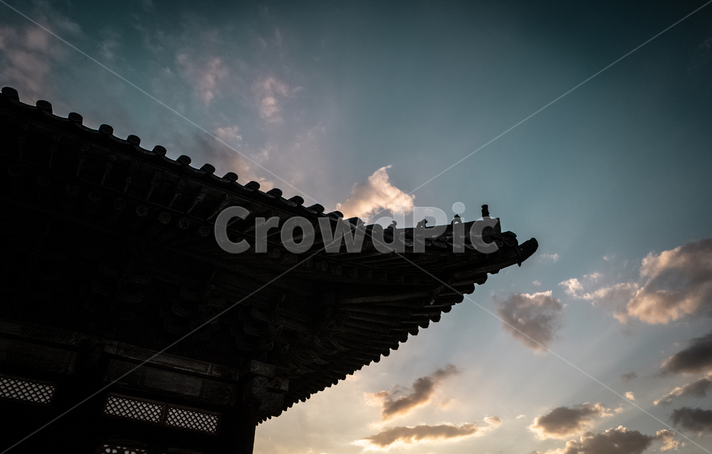 한국,궁궐,대한민국,건물,건축물,building,architecture,temple,신전,worship,예배,shrine,신사,한국전통,한국문화,korean traditional,korean culture,건축물,건물외관,exterior,building,structure,architecture,construction