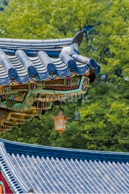 신륵사,사찰,기와,선,단청,처마,풍경,한국전통,한국문화,korean traditional,korean culture,건축물,건물외관,exterior,building,structure,architecture,construction