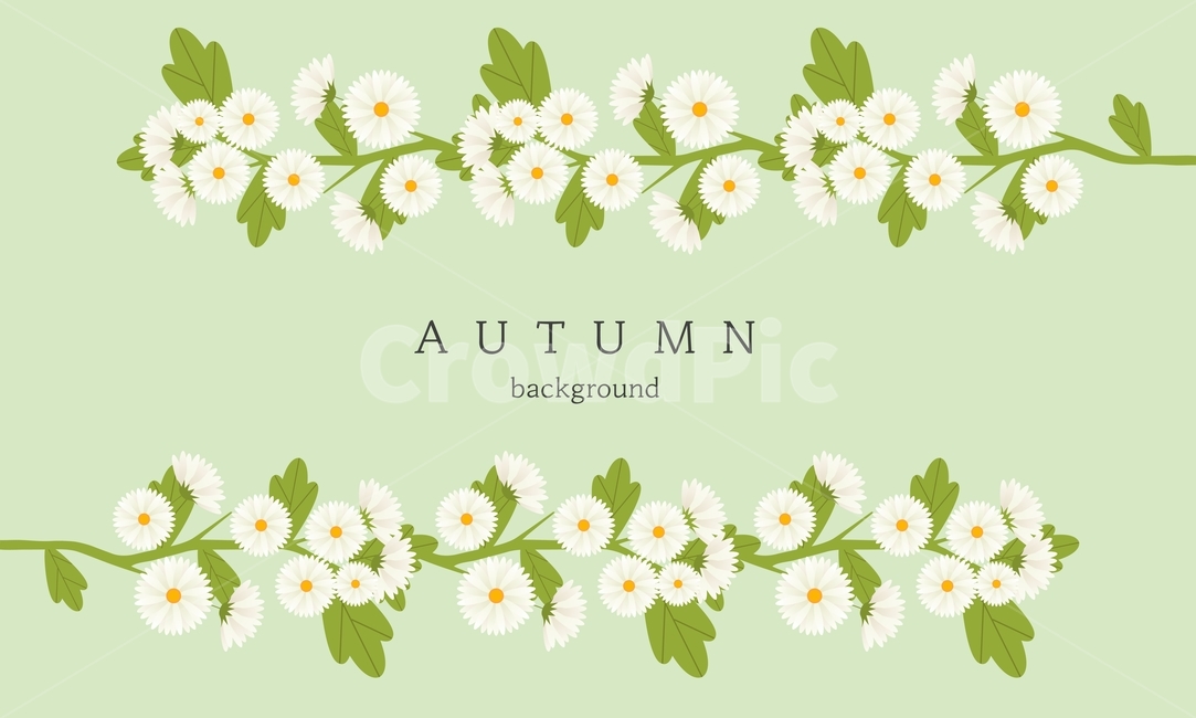 꽃,국화,가을,프레임,감성,배경,백그라운드,가을,계절,fall,autumn,season,그래픽,일러스트레이션,graphic,illustration,daisy,데이지,daisies,flower,plant,식물,blossom