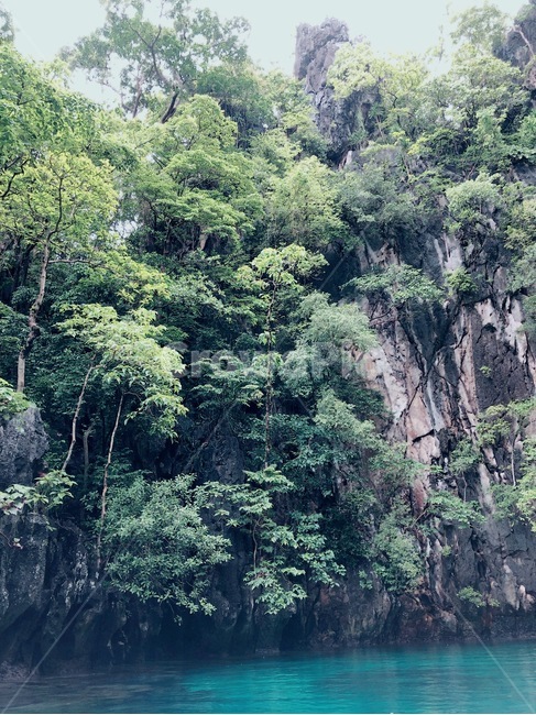 바다,일상,감성,자연,뷰,자연,풍경,nature,landscape,vegetation,초목,plant,식물,tree,나무,outdoors,옥외,land,땅,rainforest,열대 우림,jungle,밀림,bush,부시