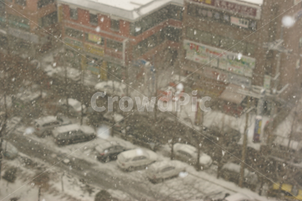눈,눈내리는풍경,눈결정,한겨울,겨울,함박눈,겨울,계절,winter,season