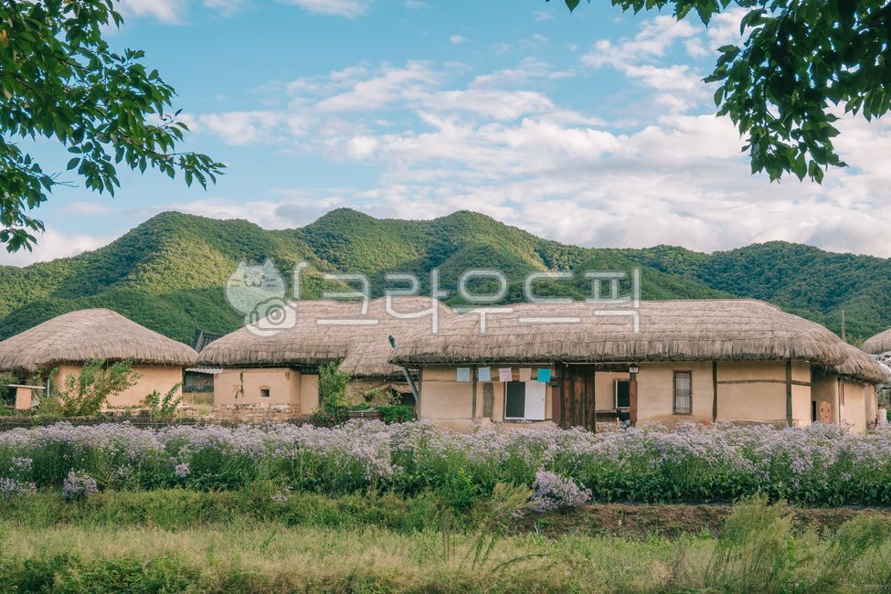 안동하회마을,안동,하회마을,한국전통,한국문화,풍경,경치,시골,자연,koreantraditional,민속마을,전통,koreanculture,세계문화유산,korea,초가집