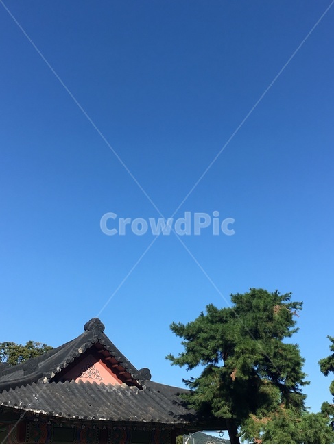 지붕,roof,파란하늘,하늘,구름한점없는,한옥지붕