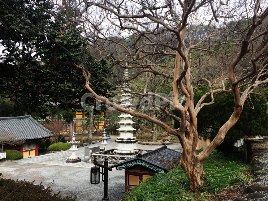 쌍계사,사찰,절,석탑,하동쌍계사,한국전통,한국문화,korean traditional,korean culture,종교,신앙,religion,belief,faith