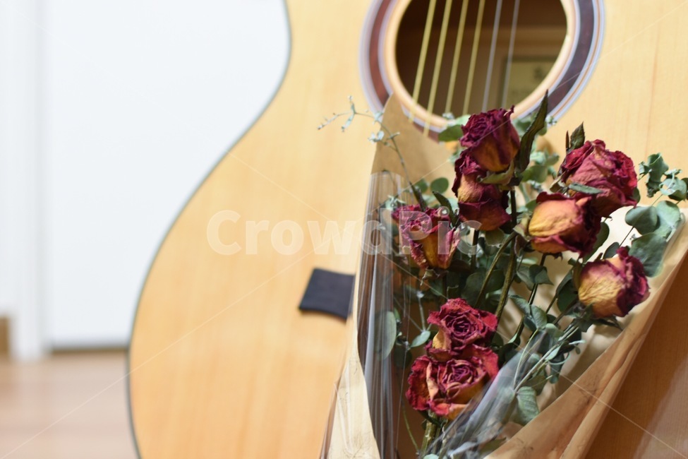 말린장미,기타,감성,선물,붉은장미,rose,식물,꽃다발