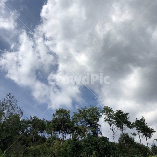 하늘,산,나무,자연,풍경,구름,자연,풍경,nature,landscape,weather,날씨,outdoors,옥외,cloud,sky,cumulus,적운