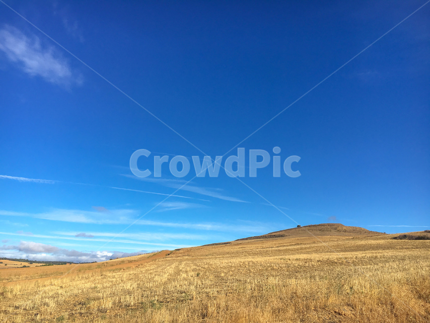 outdoors,옥외,grassland,field,들,목초지,스페인,spain,españa,산티아고순례길,순례길,산티아고,순례,pilgrim,peregrino,caminodesantiago,camino,순례자,nature,자연,길,road,way,dirtroad,흙길,풍경,landscape,아스토르가가는길,아스토르가,aastorga,toastorga