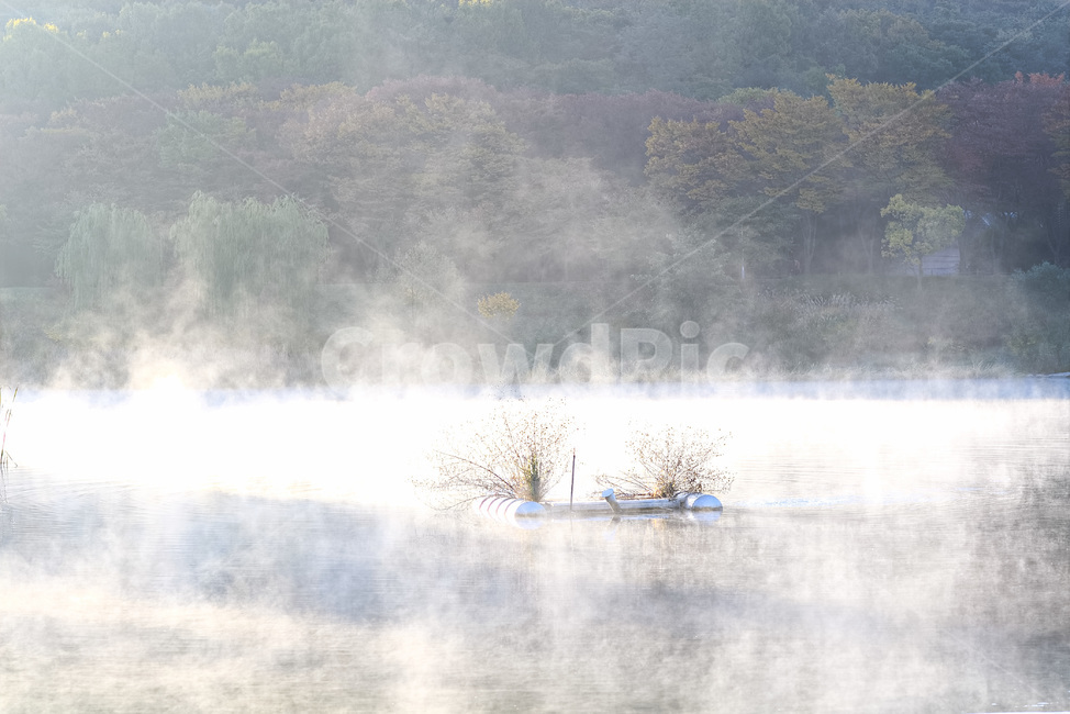 물안개,안개,가을,단풍,풍경,자연,호수,산,자연,풍경,nature,landscape