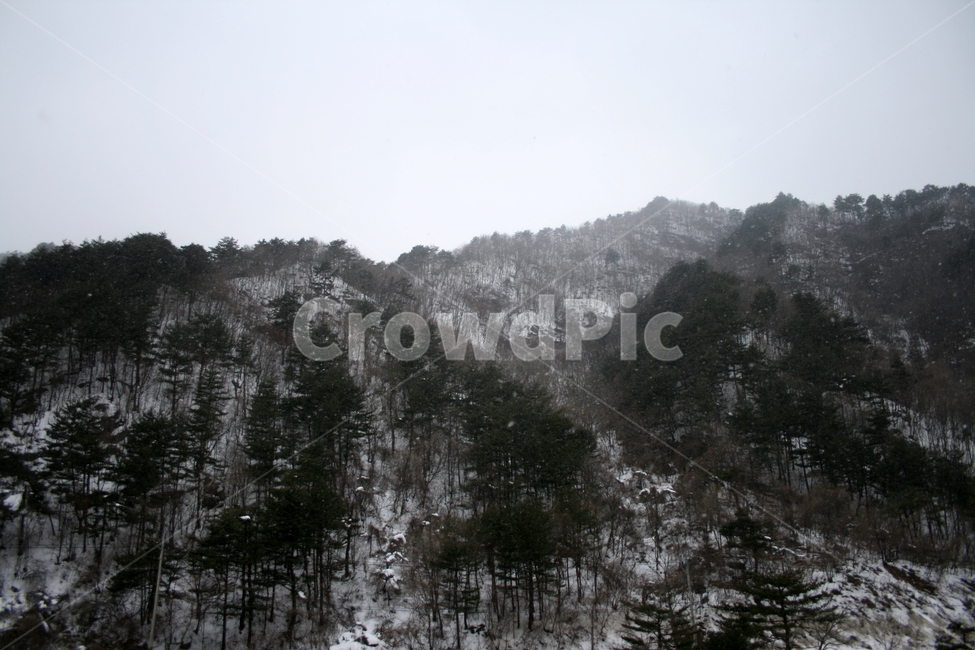 겨울,산,눈,풍경,하늘,겨울,계절,winter,season,자연,풍경,nature,landscape,tree,나무,plant,식물,fir,전나무