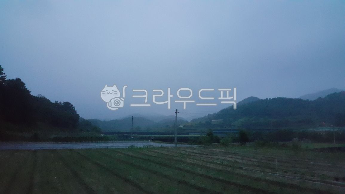 foggy dawn,nature,dawn,Fog