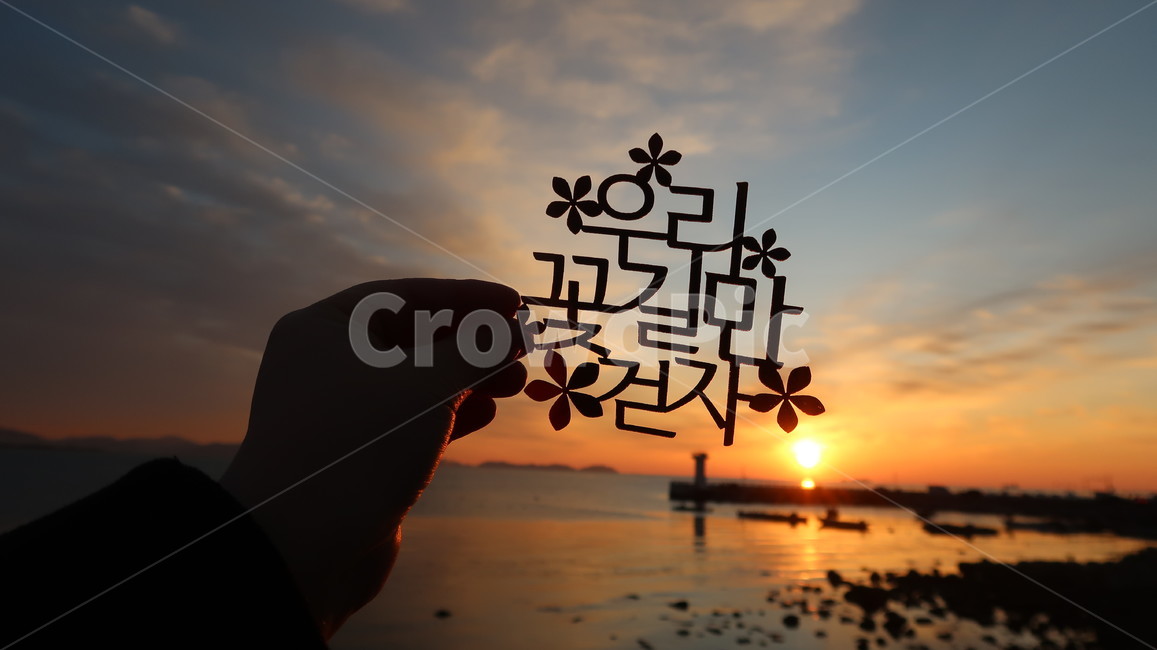 outdoors,옥외,nature,자연,가덕도,새바지항,가덕도새바지항,꽃길,새해,2020,새해토퍼