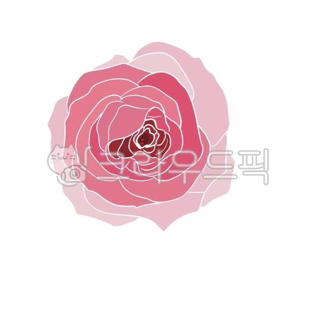 flower,rose,pink,장미,꽃,손그림,아트,꽃잎