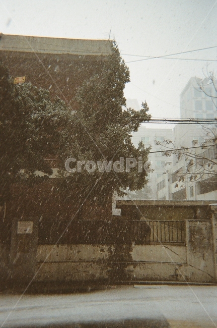 눈,눈보라,겨울,옥외,outdoors