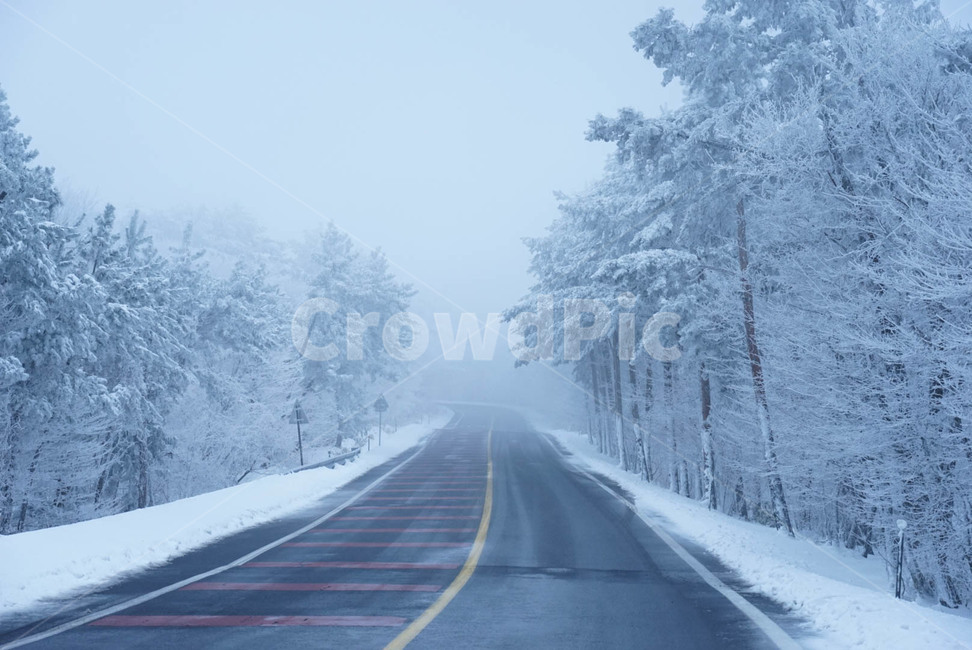 겨울,눈,풍경,자연,눈꽃,겨울,계절,winter,season,자연,풍경,nature,landscape,road,도로,outdoors,옥외