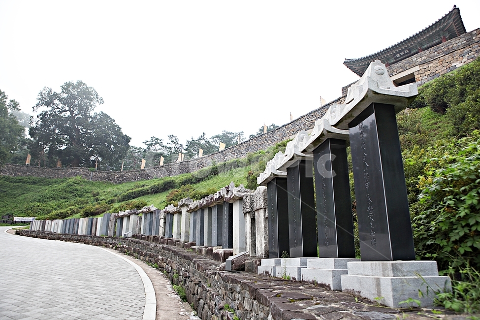 공주산성,성,산성,성곽,길,둘레길,숲,숲길,담,돌담,여름,풍경,벽,방어벽,흙담,나무,식물,유네스코등제