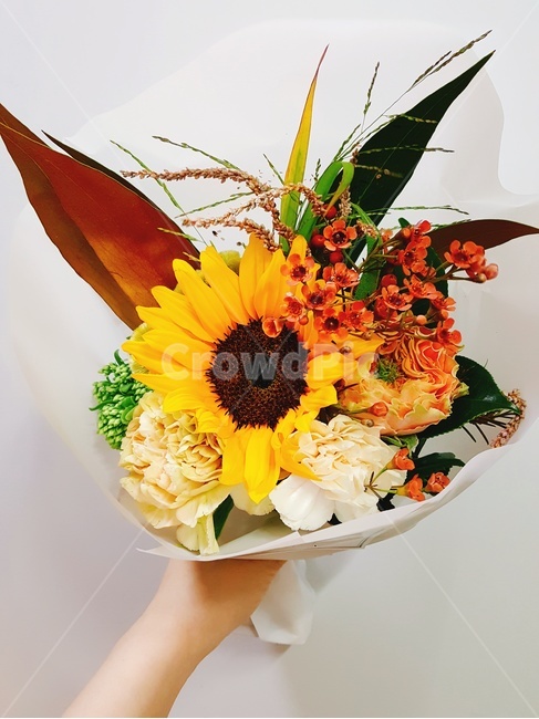 flower,꽃,blossom,flowerarrangement,plant,식물,꽃꽂이