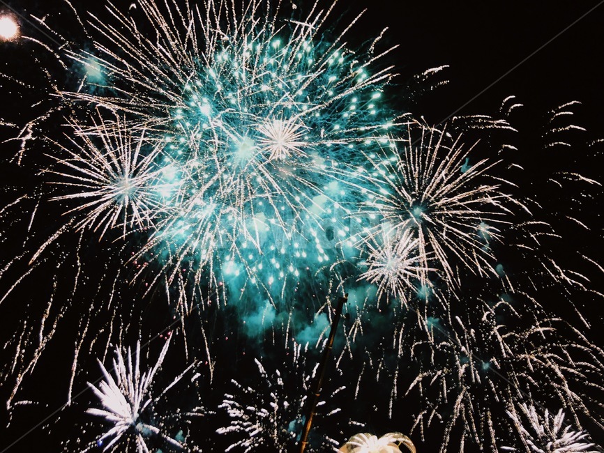 불꽃놀이,불꽃축제,여름,폭죽,불꽃,축제