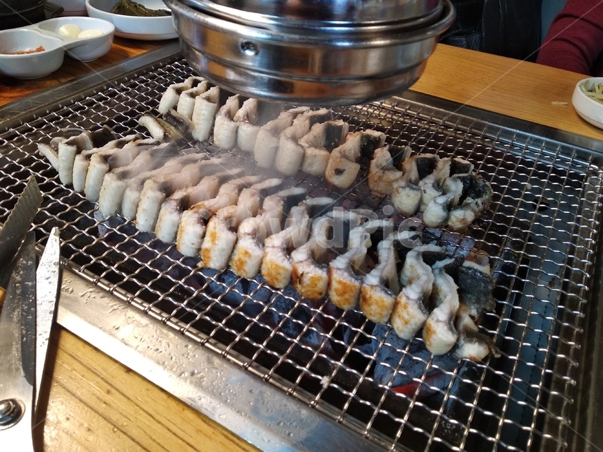 장어,구이,장어구이,숯불,생선구이,음식,식재료,요리,food,cook,meal,dishes,food reserves