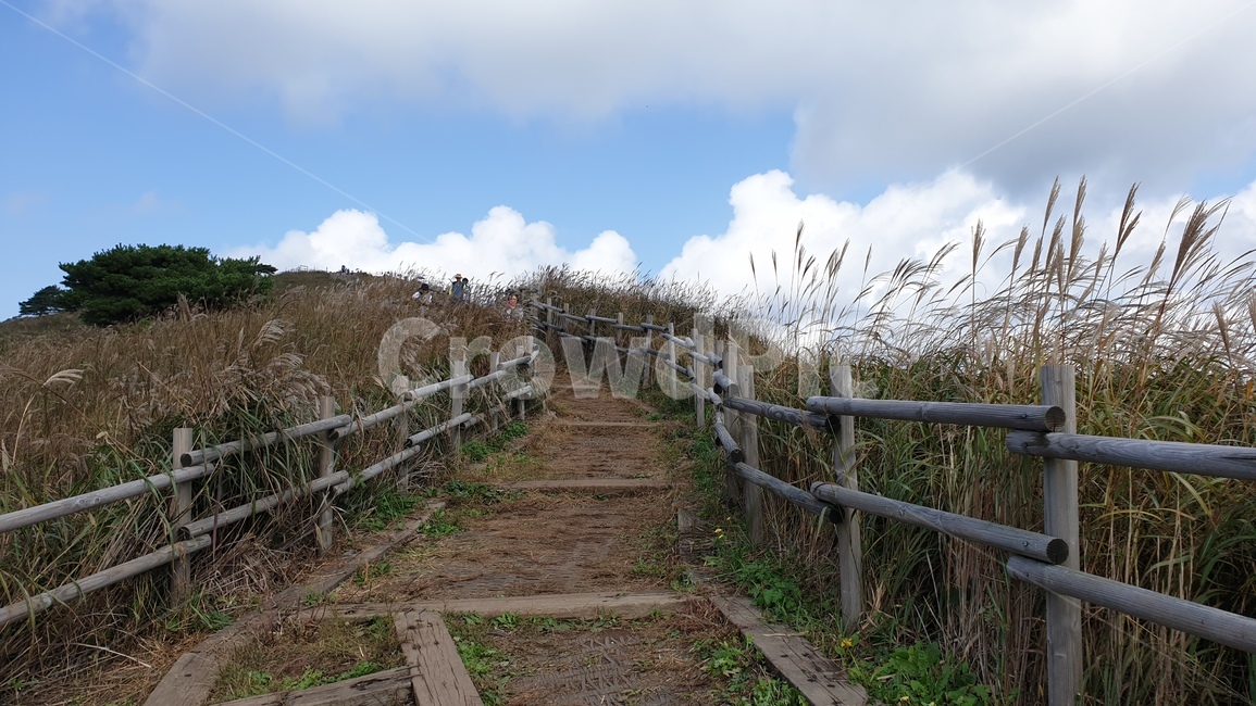 강원도,정선군,민둥산,등산,풍경,nature,자연,landscape,outdoors,억새,가을,자연,풍경,nature,landscape,banister,난간,handrail