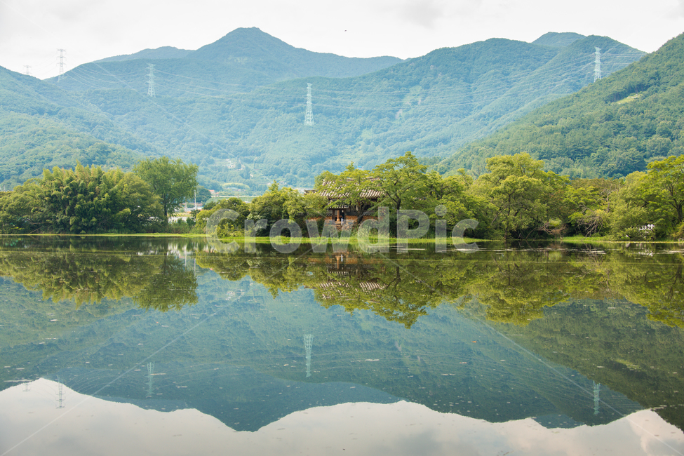 위양지,반영,여름풍경,밀양,위양못,자연,풍경,nature,landscape,water,물,outdoors,옥외,lake,호수
