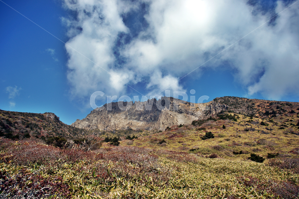 남벽,한라산,제주도,한라산국립공원,돈내코코스,조릿대,관목,푸른하늘,구름,암벽,제주도,jeju,jeju island,nature,자연,outdoors,옥외,plateau,고원