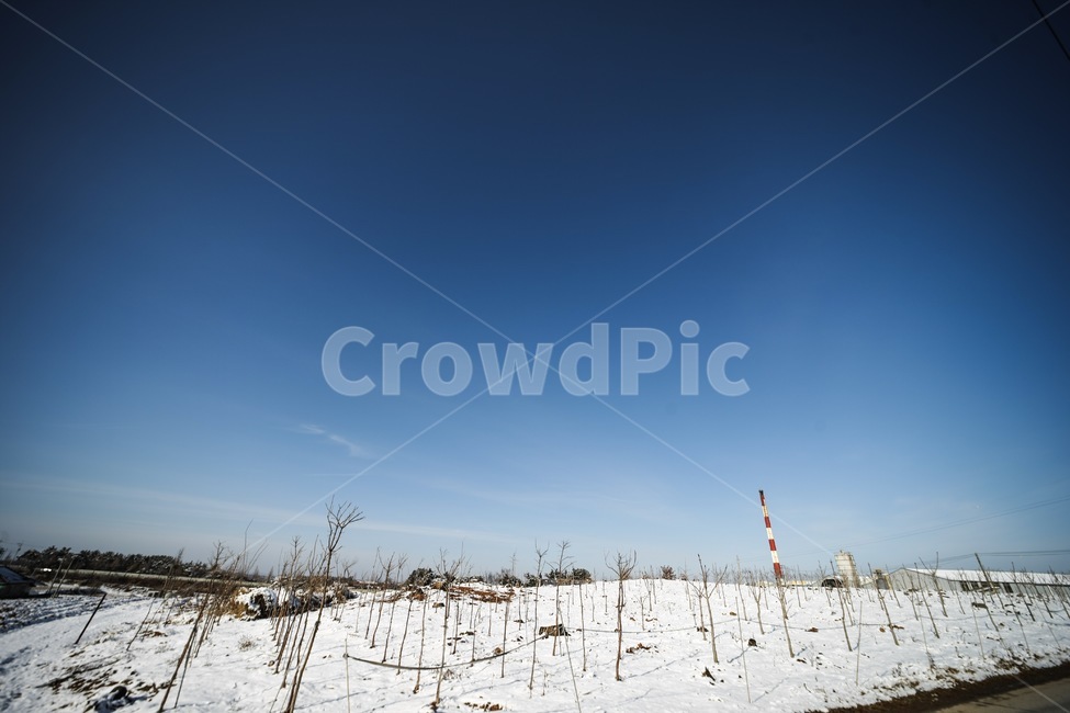 겨울,하늘,들,눈,설경,winter,sky,snow,landscape,풍경,겨울,계절,winter,season,자연,풍경,nature,landscape,outdoors,옥외