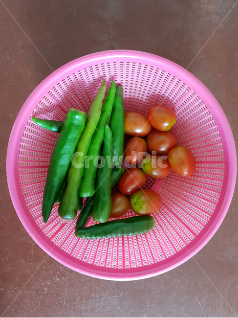 하우스재배,재배,고추,토마토,야채,채소,유기농,바구니,농작물,농사,음식,식재료,요리,food,cook,meal,dishes,food reserves,채소,야채,vegetables