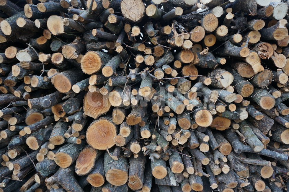 나무,장작,껍질,테두리,패턴,갈색,tree,계절,자연,nature,season,원통,나무,trees,wood