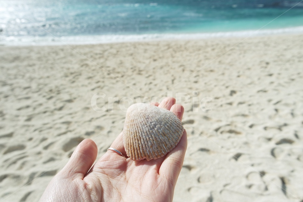 조개껍데기,바다,손,모래사장,조개줍기,조개,감성,해변,바다,beach,sea