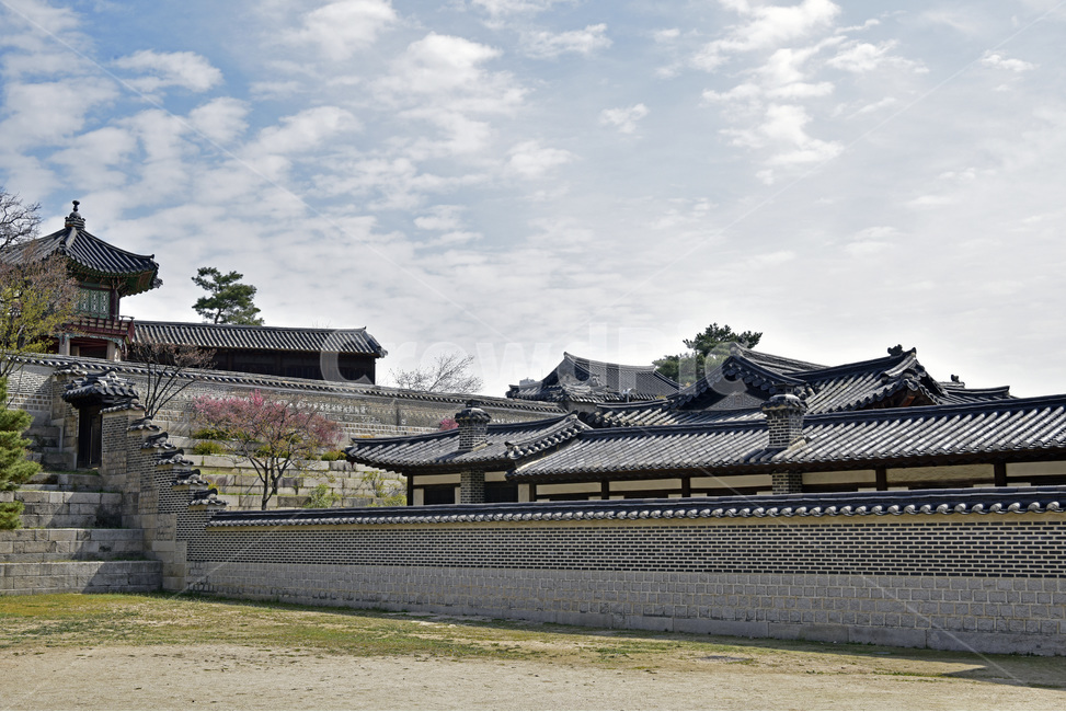 창덕궁,changdeokgungpalacecomplex,궁궐,문화유산,세계유산,한옥,이궁,동궐,단청,한국전통,한국문화,korean traditional,korean culture,랜드마크,landmark,tourist attraction,한국랜드마크,한국관광지,한국명소,korea landmark,korea tourist attraction,건축물,건물외관,exterior,building,structure,architecture,construction