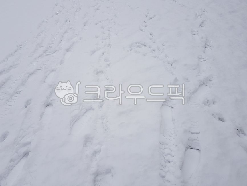 발자국,눈편지지,눈배경,감성,질감,겨울,하얀배경,겨울,계절,winter,season