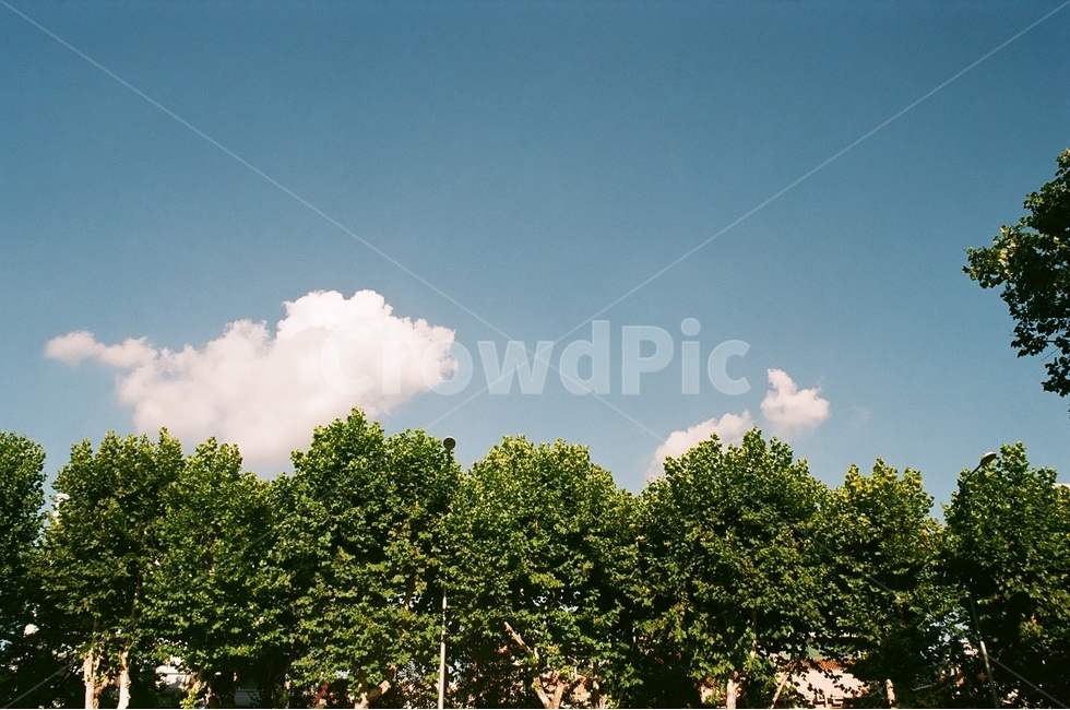 구름,하늘,나무,풍경,몽실몽실,자연,풍경,nature,landscape,outdoors,옥외,weather,날씨