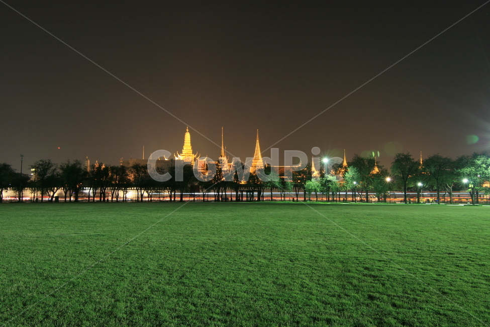 plant,식물,grass,lawn,잔디,야경,nightview