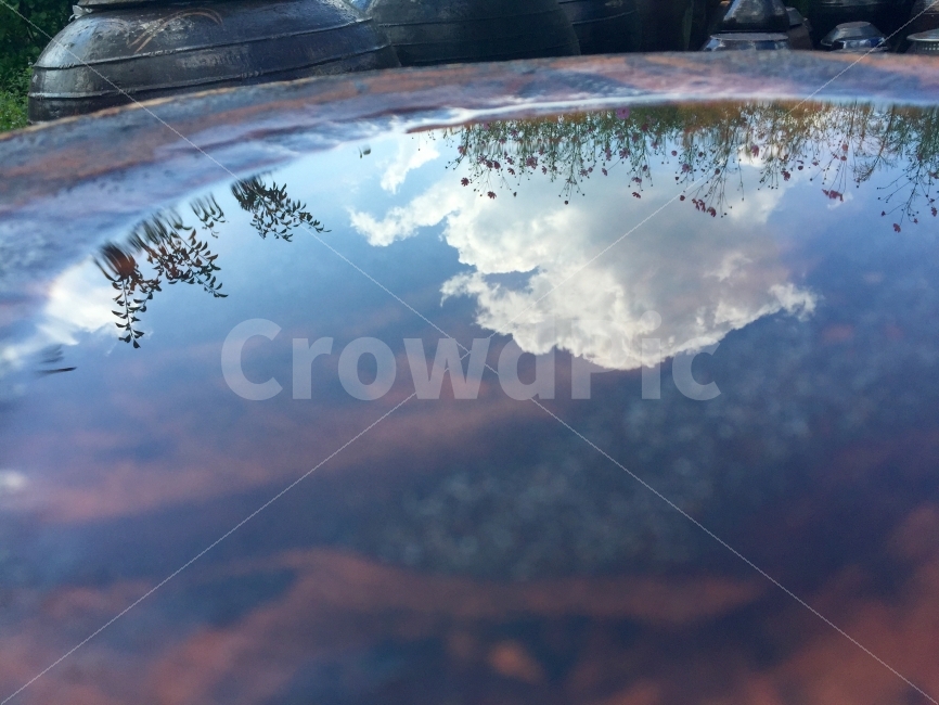 하늘,코스모스,반영,가을,항아리,자연,풍경,nature,landscape,한국전통,한국문화,korean traditional,korean culture,puddle,흐리게 하다