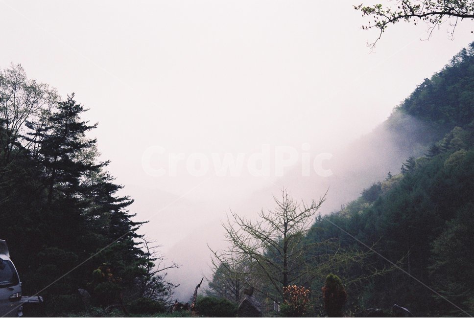 필름사진,산안개,산속,산골짜기,산,안개,무릉도원,mist,mountain,협곡