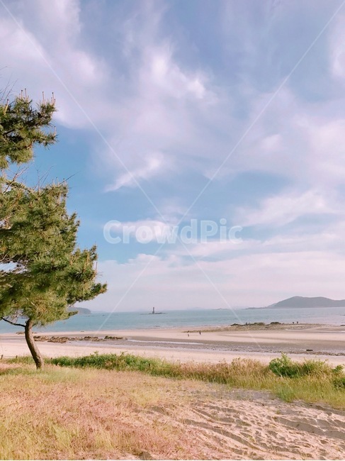 해변,바다,하늘,자연,지평선
