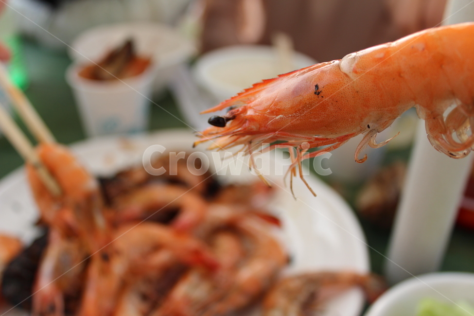 대하,새우,대하소금구이,캠핑,탄,음식,식재료,요리,food,cook,meal,dishes,food reserves,수산물,해산물,fishery products,seafood