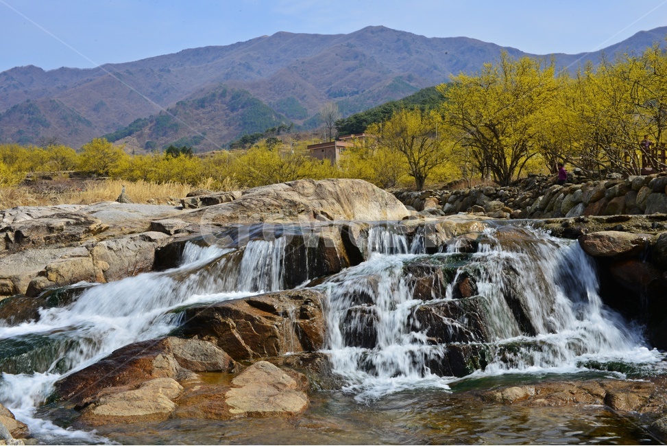 water,river,강,outdoors,옥외,nature,자연,waterfall,gravel,자갈,전남,구례,산동,산동마을,산수유,산수유마을,산동산수유마을,봄,산동봄,계절,노랑꽃,산수유꽃,폭포,만복대,경치,경관,풍경,자연,풍경,nature,landscape