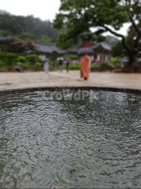 water,물,비,산사,빗방울