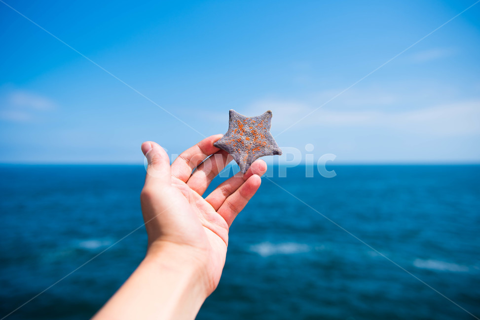 바다,여름,불가사리,풍경,손,person,사람,human,인간,여행,휴가,traveling,vacation,trip,감성,sensible,feeling