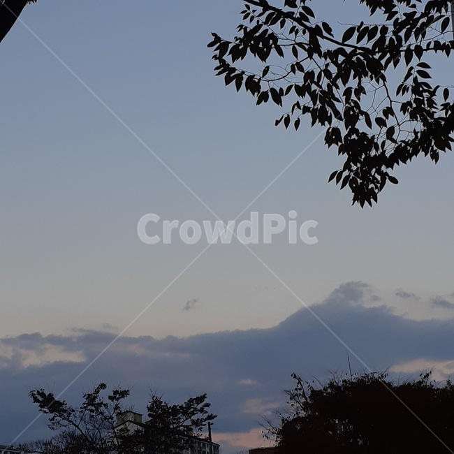 하늘,구름,자연,나무,outdoors,옥외,sky,cloud,nature,tree