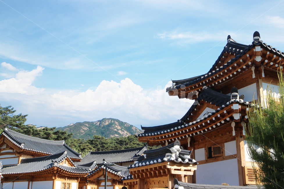 한옥,기와집,한국,전통,문화,건축,나무,지붕,대문,아시아,역사,오래된,한옥마을,웅장함,산,하늘,구름,건축물,building,architecture,관광