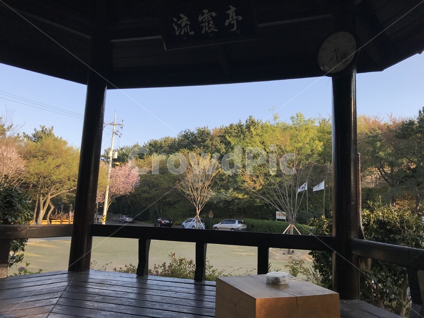 정자,공원,산,숲길,조용한분위기,상쾌,나무,나무길,산소