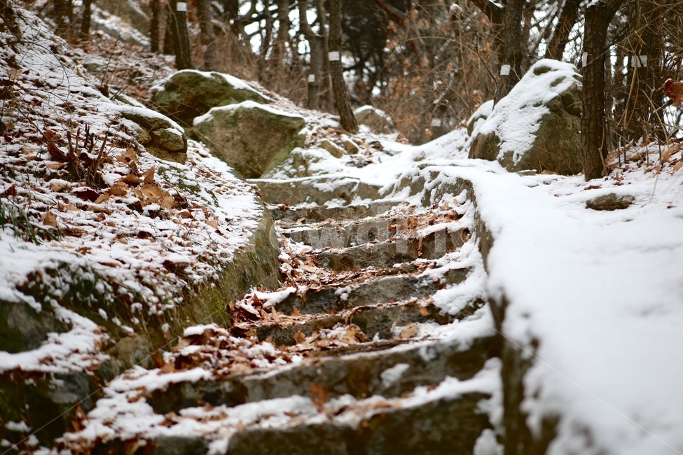 눈,눈밭,계단,눈오는날산,설산,산,겨울,겨울,계절,winter,season,자연,풍경,nature,landscape