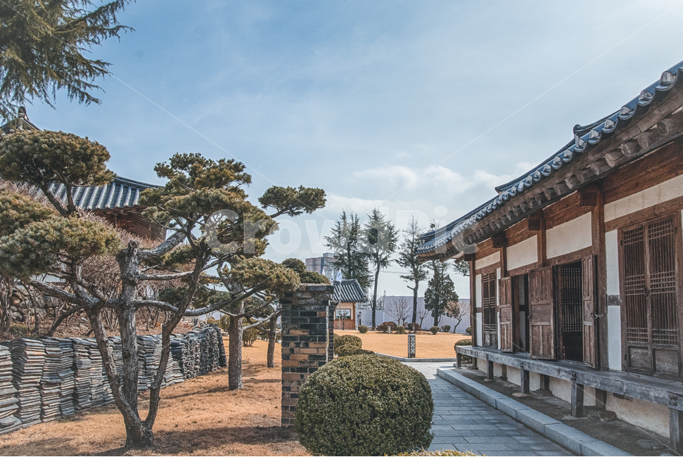 향교,나무,도심속,전통,문화재,울산,한국전통,한국문화,korean traditional,korean culture,건축물,건물외관,exterior,building,structure,architecture,construction