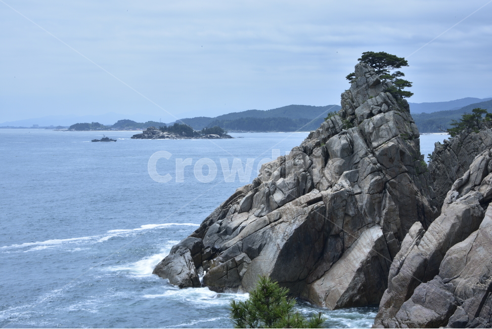 하조대,명품소나무,노송,바다풍경,자연,멋,외로움,애국송,고송,강원도양양,절개,자연,풍경,nature,landscape,한국자연풍경,한국자연경관,korea nature landscape,promontory,곶,cliff,낭떠러지,outdoors,옥외