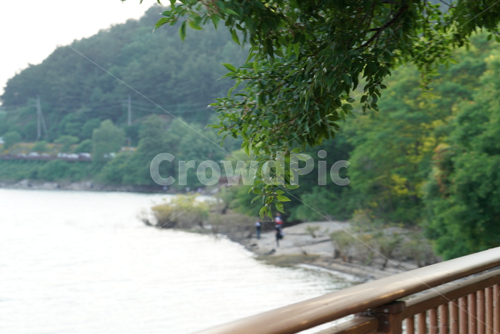논산저수지,탑정저수지,산책로,수변로,호수공원,호수가,저수지,담수호