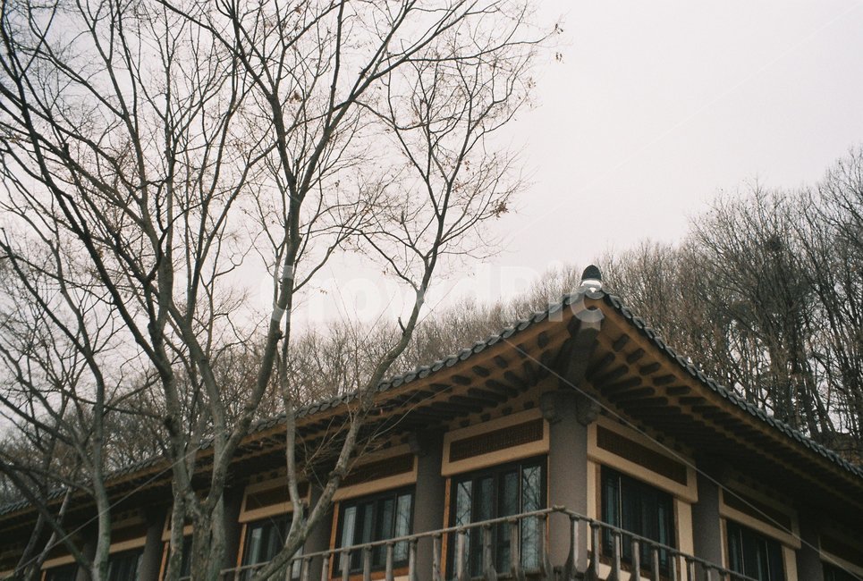 풍경,한국민손촉,한옥,배경,필름카메라